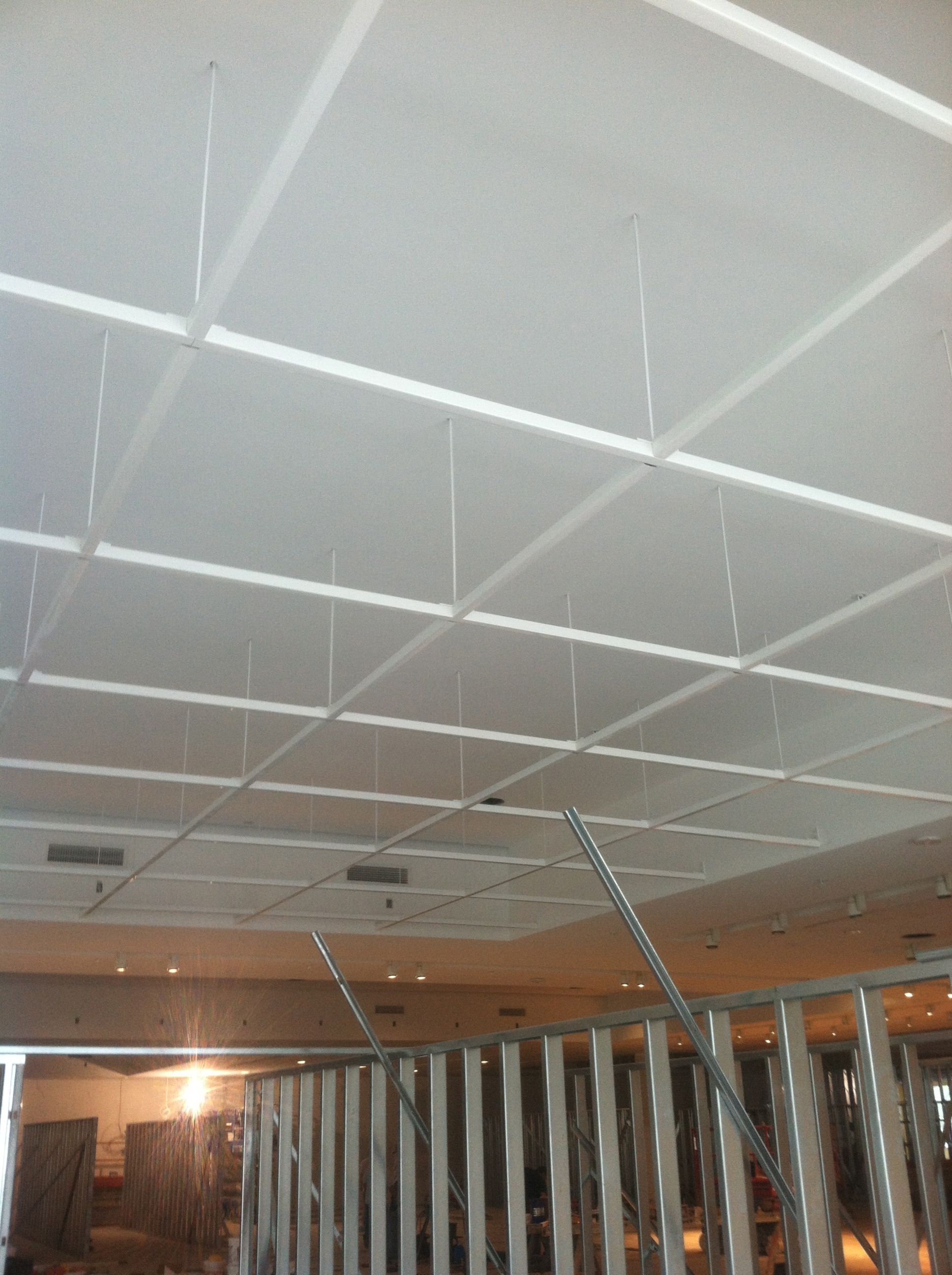 Acoustical ceiling pic
